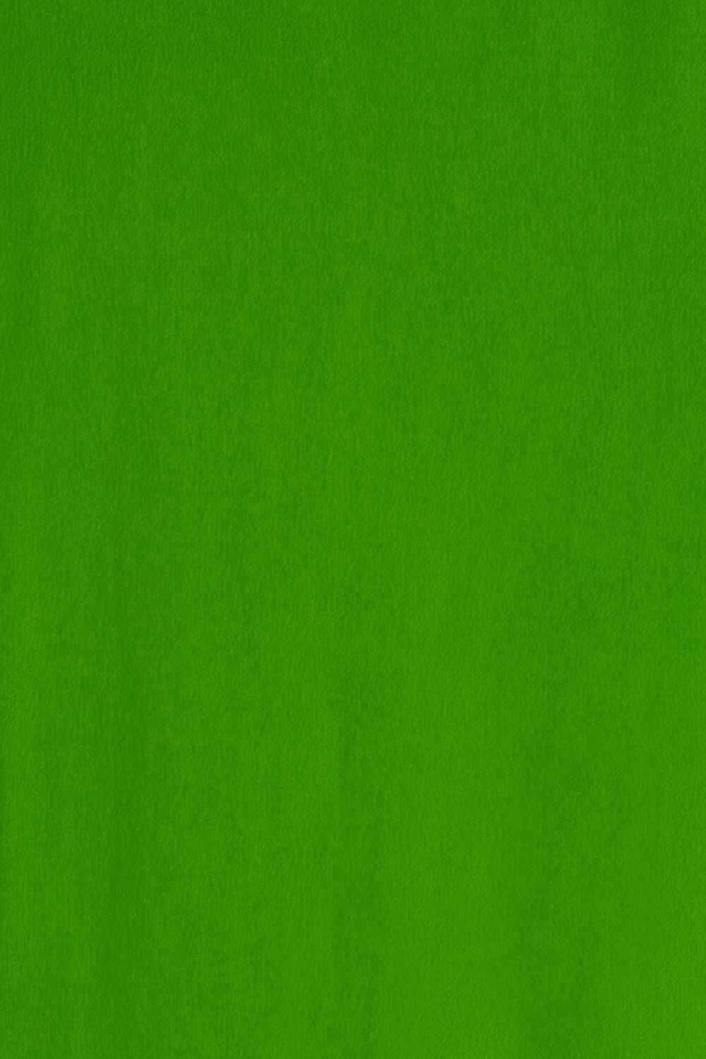 Light Green Viscose Chiffon Printed Saree image number null