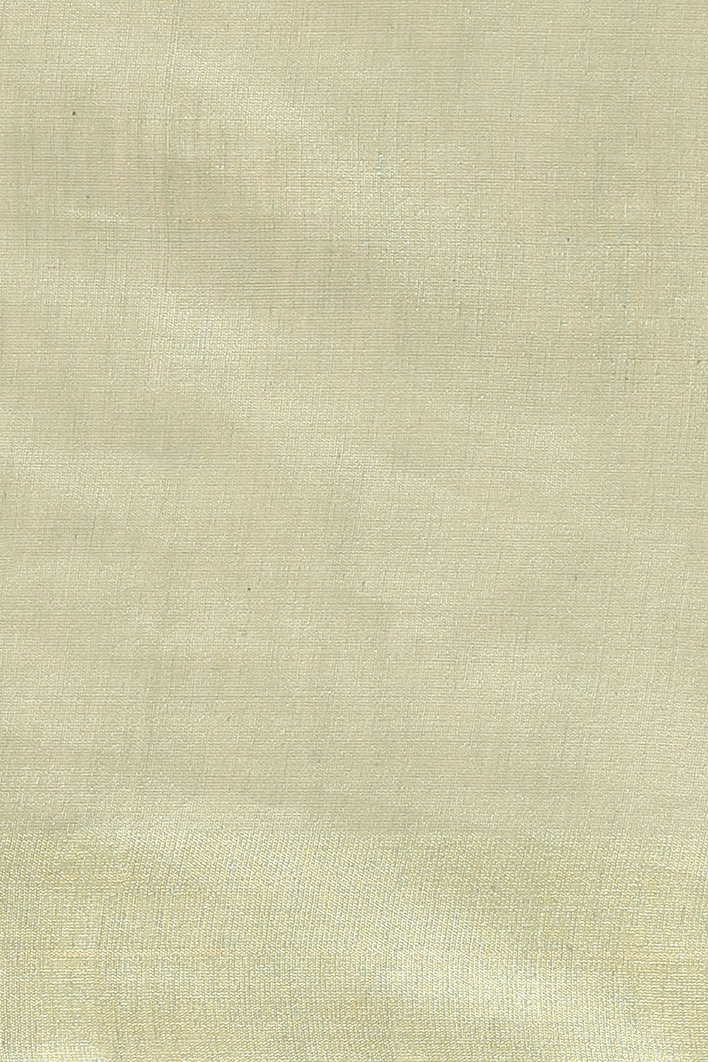 Light Green Pure Tussar Silk Bhagalpuri Saree image number null