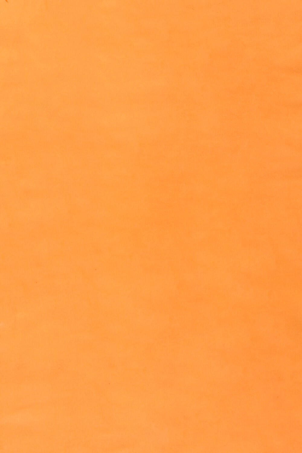 Light Orange Viscose Georgette Printed Saree image number null
