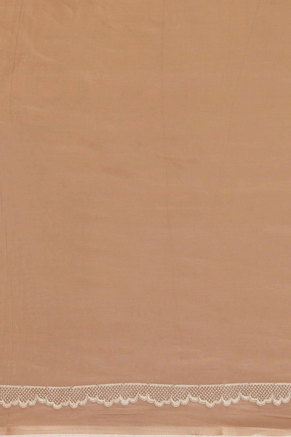 Beige Contemporary Viscose Organza Embroidery Saree image number null