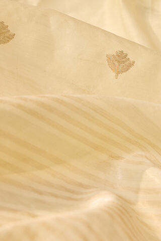 Light Green Woven Pure Silk Cotton Chanderi Saree thumbnail image number null