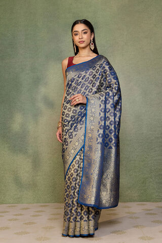 Blue   Woven Viscose Tissue Saree thumbnail image number null