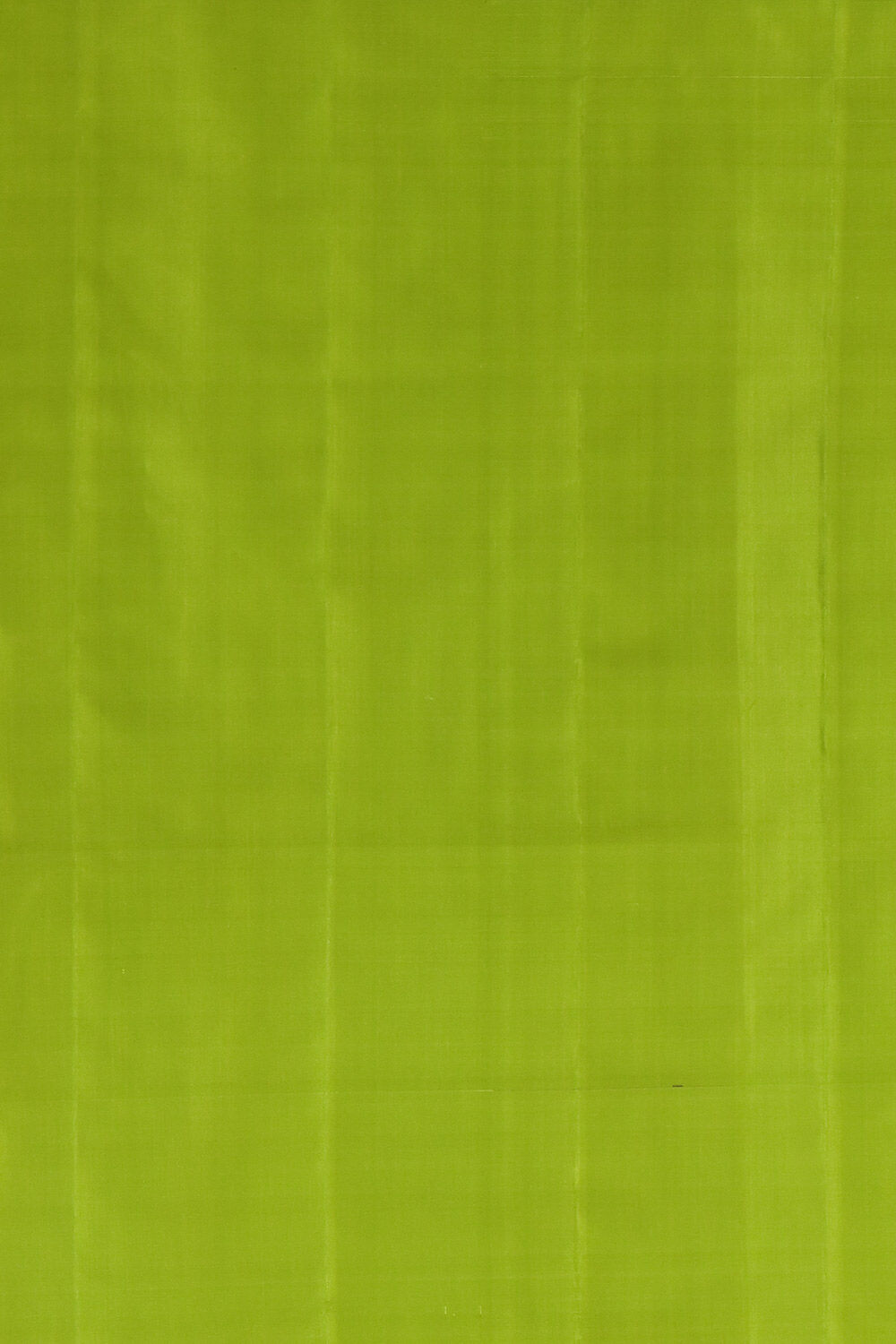 Light Green Handwoven Banarasi Pure Georgette Saree image number null