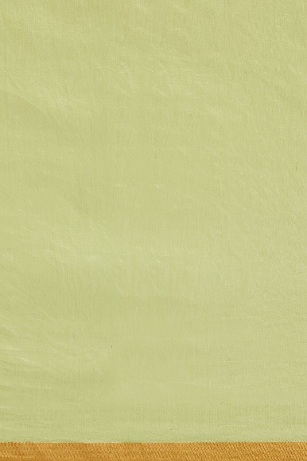 Light Green Pure Organza Banarasi Saree image number null
