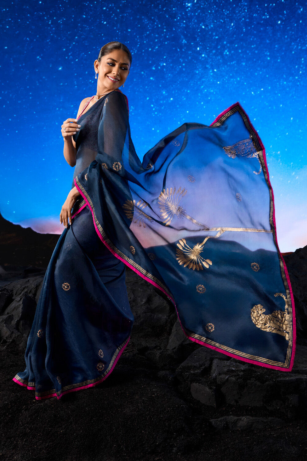Blue Pure Organza Printed Embroidery Saree image number null
