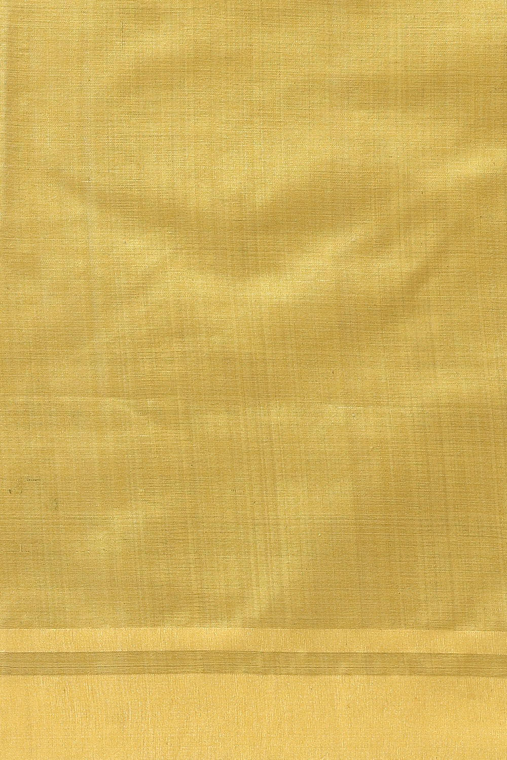 Light Blue Pure Tussar Silk Bhagalpuri Saree image number null