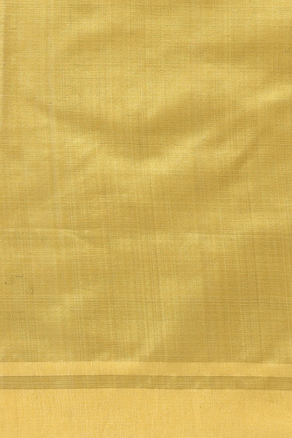 Light Blue Pure Tussar Silk Bhagalpuri Saree image number null