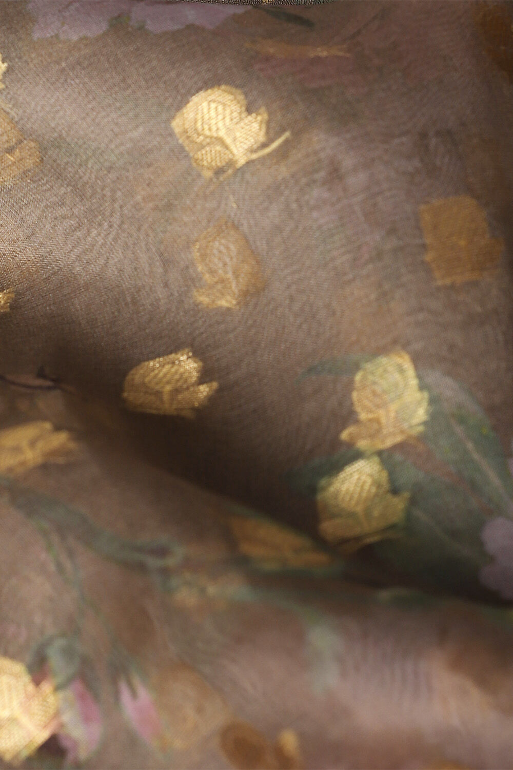 Brown Pure Organza Digital Printed Saree image number null